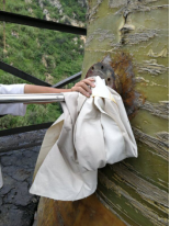 廢氣的排放與檢測(cè) 廢氣的排放與檢測(cè)